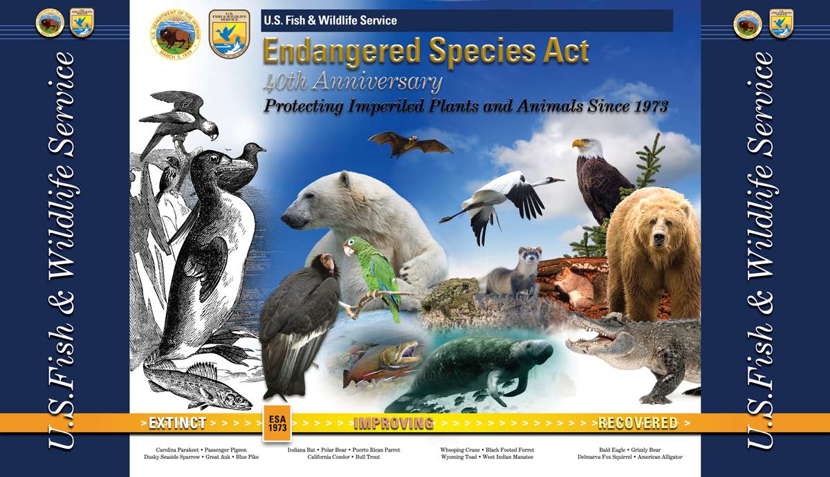 Endangered Spciies Act 1977, 40th anniversary
