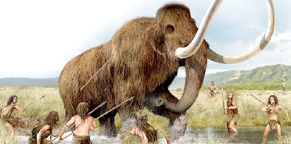 Human cousins hunting a Wooly Mammoth
